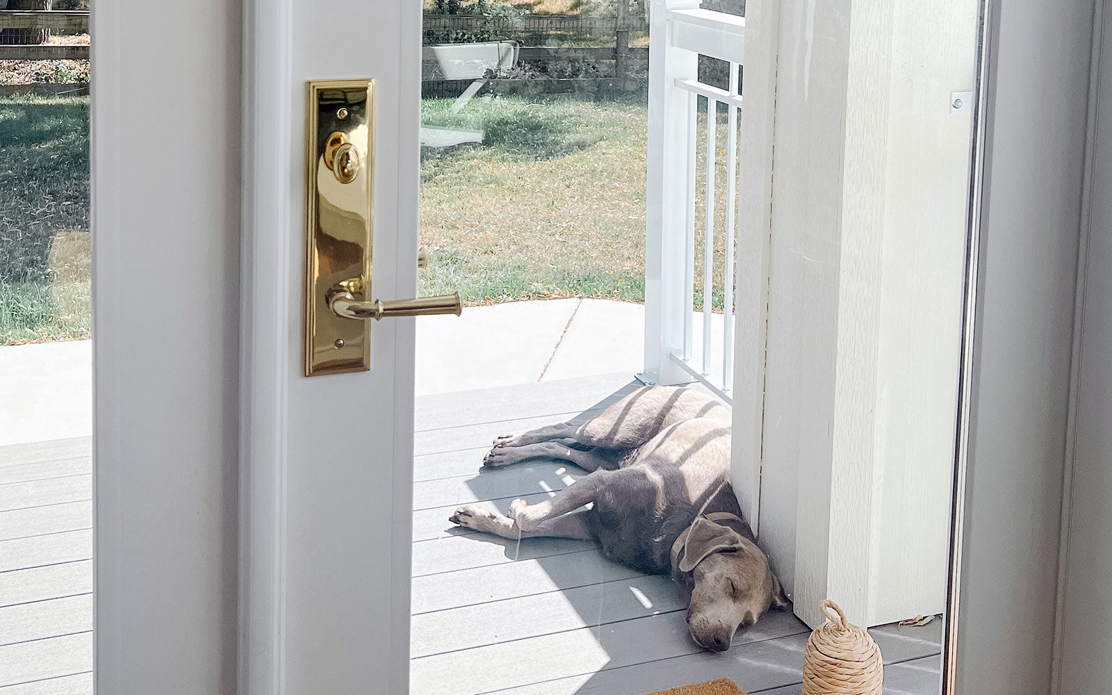white patio door with dog sleeping on the porch and a polished brass handleset door hardware from grandeur