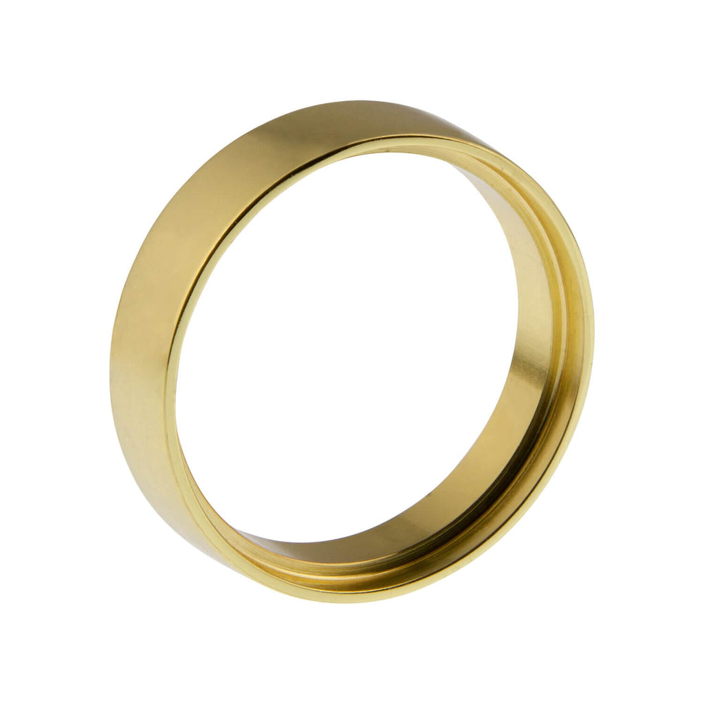 Spin Ring in Lifetime Brass