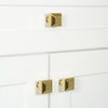 Carré 1-1/4” Square Cabinet Knob in Lifetime Brass