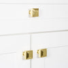 Carré 1-1/4” Square Cabinet Knob in Polished Brass
