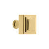 Carré 1-1/4” Square Cabinet Knob in Polished Brass