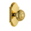 Arc Short Plate with Windsor Knob in Lifetime Brass