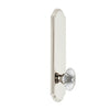 Arc Tall Plate with Burgundy Crystal Knob in Polished Nickel