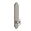 Arc Tall Plate with Burgundy Crystal Knob in Satin Nickel