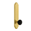 Arc Tall Plate with Coventry Knob in Lifetime Brass