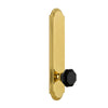 Arc Tall Plate with Lyon Knob in Polished Brass