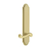 Arc Tall Plate with Newport Lever in Satin Brass
