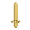 Arc Tall Plate with Portofino Lever in Lifetime Brass