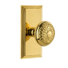 Carré Short Plate with Windsor Knob in Lifetime Brass