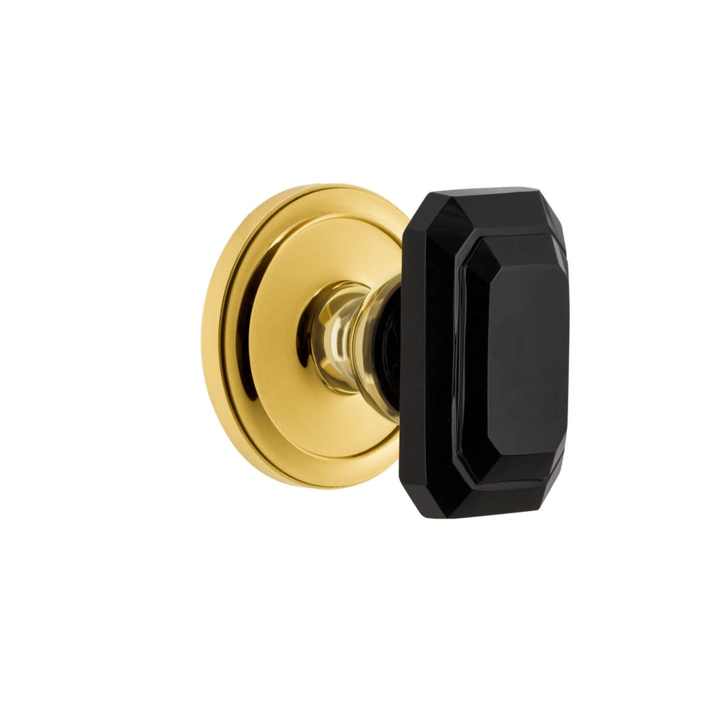 Circulaire Rosette with Baguette Black Crystal Knob in Lifetime Brass