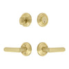 Circulaire Rosette Entry Set with Carre Lever in Satin Brass