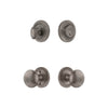 Circulaire Rosette Entry Set with Fifth Avenue Knob in Antique Pewter