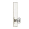 Carré Tall Plate with Baguette Clear Crystal Knob in Polished Nickel