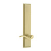 Carré Tall Plate with Bellagio Lever in Satin Brass