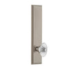 Carré Tall Plate with Burgundy Crystal Knob in Satin Nickel