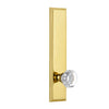 Carré Tall Plate with Chambord Crystal Knob in Lifetime Brass