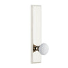 Carré Tall Plate with Hyde Park Knob in Polished Nickel