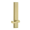 Carré Tall Plate with Newport Lever in Satin Brass