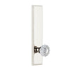 Carré Tall Plate with Versailles Crystal Knob in Polished Nickel