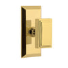 Fifth Avenue Short Plate with Carré Knob in Lifetime Brass