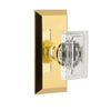Fifth Avenue Short Plate with Carré Crystal Knob in Lifetime Brass