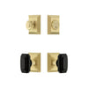 Fifth Avenue Square Rosette Entry Set with Baguette Black Crystal Knob in Satin Brass