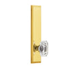 Fifth Avenue Tall Plate with Baguette Cut Clear Knob in Lifetime Brass