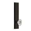 Fifth Avenue Tall Plate with Biarritz Crystal Knob in Timeless Bronze