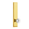 Fifth Avenue Tall Plate with Bordeaux Crystal Knob in Polished Brass