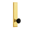 Fifth Avenue Tall Plate with Coventry Knob in Lifetime Brass