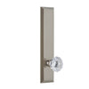 Fifth Avenue Tall Plate with Fontainebleau Crystal Knob in Satin Nickel