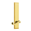 Fifth Avenue Tall Plate with Newport Lever in Lifetime Brass