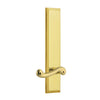 Fifth Avenue Tall Plate with Newport Lever in Polished Brass