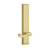 Fifth Avenue Tall Plate with Newport Lever in Satin Brass