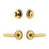 Georgetown Rosette Entry Set with Carre Lever in Lifetime Brass