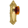 Grande Victorian Long Plate with Baguette Amber Crystal Knob in Polished Brass