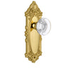 Grande Victorian Long Plate with Bordeaux Crystal Knob in Polished Brass