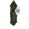 Grande Victorian Long Plate with Burgundy Crystal Knob in Timeless Bronze