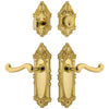 Grande Victorian Long Plate Entry Set with Newport Lever in Lifetime Brass