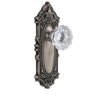 Grande Victorian Long Plate with Fontainebleau Crystal Knob in Antique Pewter