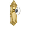 Grande Victorian Long Plate with Provence Crystal Knob in Polished Brass