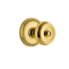 Newport Rosette with Bouton Knob in Polished Brass