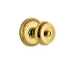 Newport Rosette with Bouton Knob in Lifetime Brass