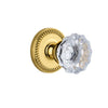 Newport Rosette with Fontainebleau Crystal Knob in Polished Brass