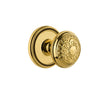 Soleil Rosette with Windsor Knob in Polished Brass