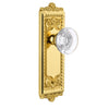 Windsor Long Plate with Bordeaux Crystal Knob in Polished Brass